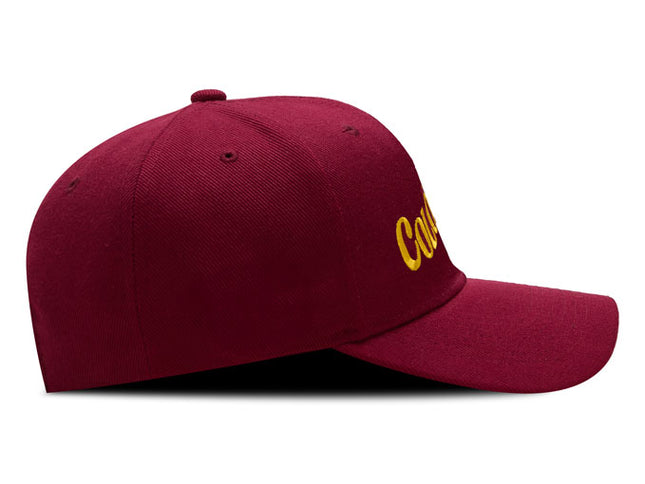 Gorra DJ caps Souvenir Colombia guacamaya vinotinto